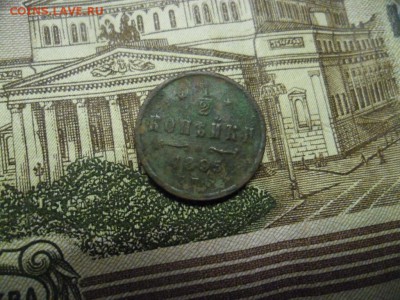 2 1895 спб - SAM_8713.JPG