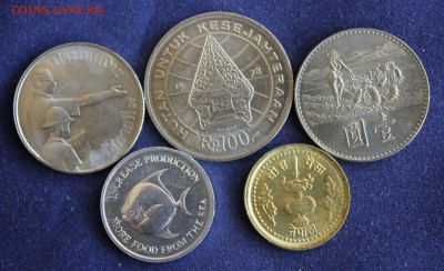 С 1 руб. ФАО 5 АЗИАТСКИХ МОНЕТ UNC  до 25.12 в 22-00 - IMG_3995.JPG