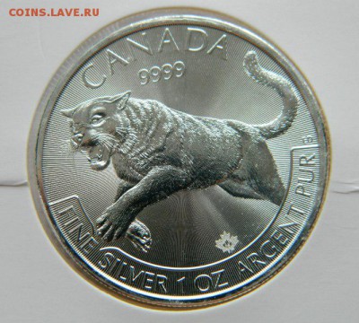5$ Канада Ягуар,унцовка,серебро, 22.12.2016,22-00 по москве - DSCN6179
