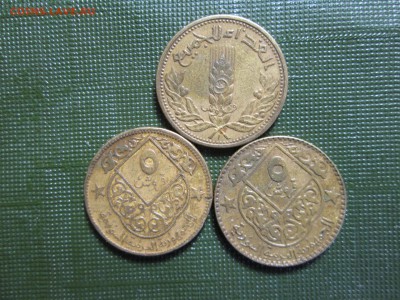 5 пиастров 1971, 1974, 1979 гг. Сирия до 23.12 22:00 МСК - IMG_1531.JPG