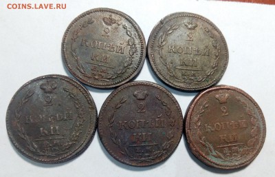 Пчелки 1810 на оценку и разновиды - IMG_20161220_033358
