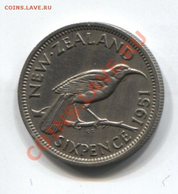 Новая Зеландия 6 пенсов 1951 птица до 14.01.11 в 22.00 мск - NZ6p