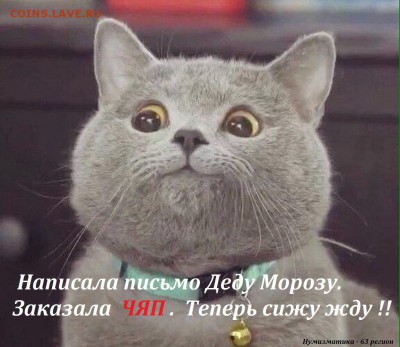 веселые картинки - ЧЯП