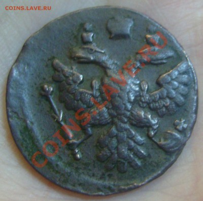 полушка 1738 г. На оценку. - ПОЛУШКА РЕВЕРС.JPG