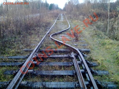 ФОТО - просто фото. Те что получились удачными. - 11112010197