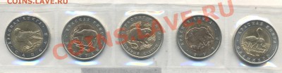КРАСНАЯ КНИГА 1994г Красивая до 12.01.11 22-00мск - Изображение 1591
