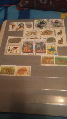 Альбом с марками до 27.12.16.около 500 марок - DSC_0149.JPG