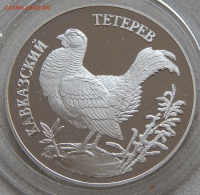 1 рубль 1995 Кавказский тетерев (Красная книга) до 28.12. - 5207.JPG