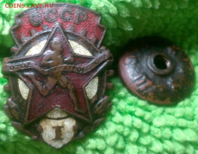 Знаки ГТО и Юный турист - IMG_20161212_113746