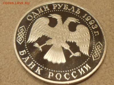 !!! ВЕРНАДСКИЙ БЕЗ ЗНАКА МД. Очень короткий. 23.12.16. - RSCN3126.JPG