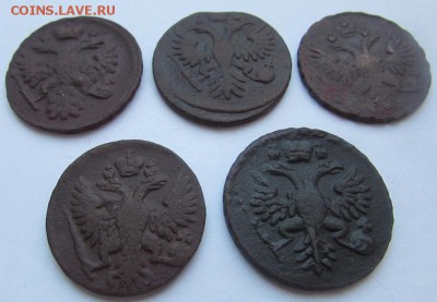 5 монет "денга" 1730-1751 г. - IMG_7156.JPG