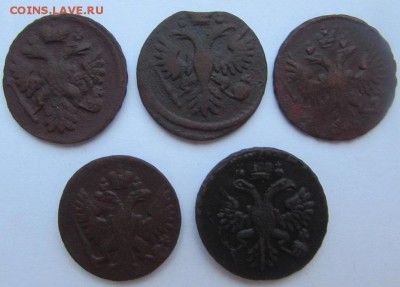 5 монет "денга" 1730-1751 г. - IMG_7153.JPG