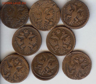 Полушки 1730-1750 гг( 8 шт). До 25.12.2016 в 22- 00 по мск - 018