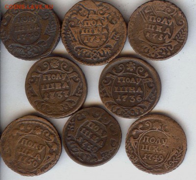Полушки 1730-1750 гг( 8 шт). До 25.12.2016 в 22- 00 по мск - 019