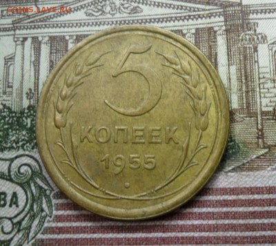 5 коп. 1955г.(Приятная) ок.  29.12.16 в 22.20 по МСК. - SAM_8838
