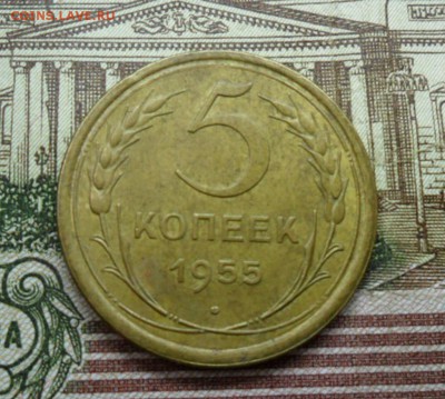 5 коп. 1955г.(Приятная) ок.  29.12.16 в 22.20 по МСК. - SAM_8837