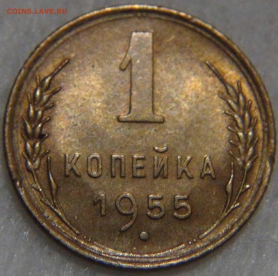 1 копейка 1955 с 200 рублей 27.12.16 (вт. 22-30) - DSC03579.JPG