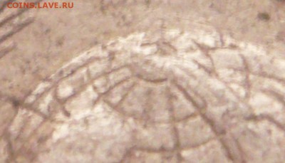 20 коп. 1925 г. определение оценка - P1380205.JPG