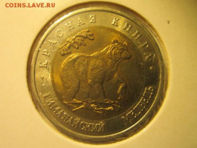 с 200 кк 1993 Медведь до 29.12.2016 в 22:30 - IMG_1806.JPG