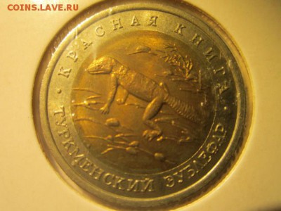 с 200 кк 1993 Зублефар до 29.12.2016 в 22:30 - IMG_1804.JPG