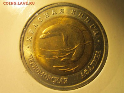 с 200 кк 1993 Афалина до 29.12.2016 в 22:30 - IMG_1808.JPG
