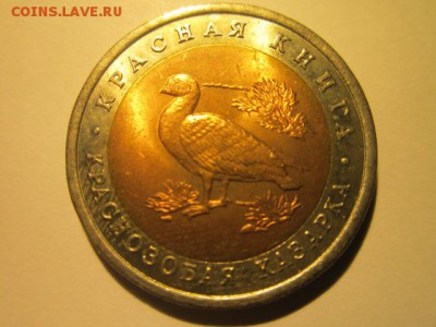 с 200 кк 1992 Казарка до 29.12.2016 в 22:30 - IMG_1810.JPG