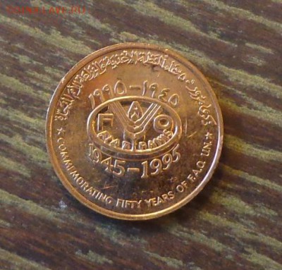 ОМАН - ФАО САБЛИ до 30.12, 22.00 - Оман ФАО сабли