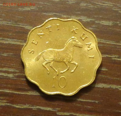 ТАНЗАНИЯ - ЗЕБРА волнистая до 30.12, 22.00 - Танзания зебра