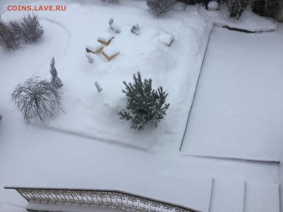 делает - прямо сейчас !!! - IMG_0100.JPG