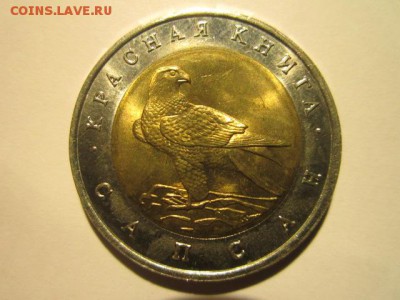 с 200 кк 1994 Сапсан до 29.12.2016 в 22:30 - IMG_1820.JPG