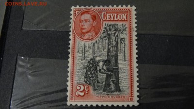 Колонии и территории Великобритании. Цейлон - DSC02781.JPG