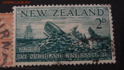 Колонии и территории Великобритании. Новая Зеландия - DSC02813.JPG