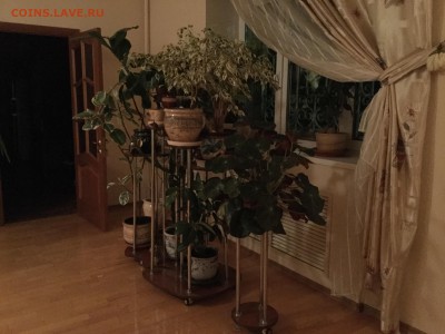 делает - прямо сейчас !!! - IMG_0102.JPG