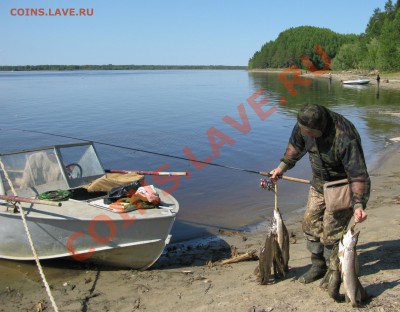 СТРАНИЧКА РЫБАКА - П2009 0251