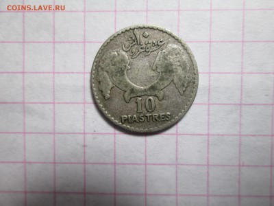 Пистры Сирии и Ливана - IMG_1576.JPG