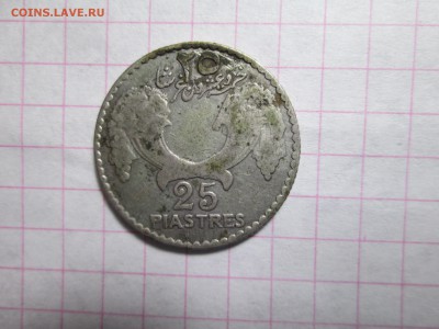 Пистры Сирии и Ливана - IMG_1578.JPG