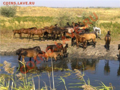 СТРАНИЧКА РЫБАКА - c2bf8e19e630