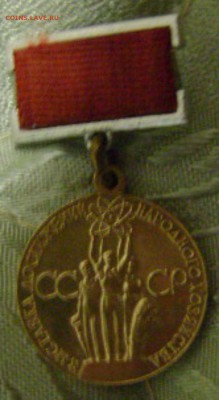 ВДНХ-бронза,02.01.17,22-00мск. - DSC00879.JPG