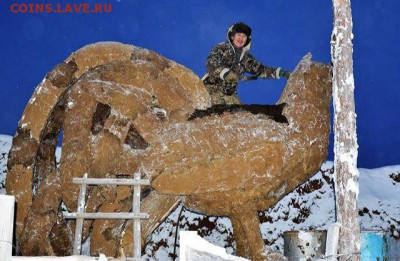 Скульптуры из балбаха и прочее! Балбах - навоз як. - 2017 Петух