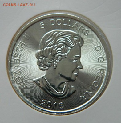 5$ Канада Ягуар,унцовка,серебро, 28.12.2016,22-00 по москве - DSCN6262