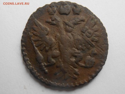 Полушки 1730-1754 годов. Галерея - RSCN5366.JPG