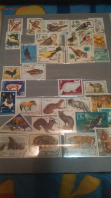 Альбом с марками на 14 двойных листов  Марки Вьетнам,Куба... - DSC_0148.JPG