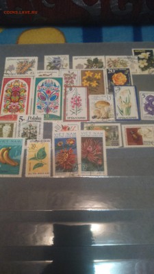 Альбом с марками на 14 двойных листов  Марки Вьетнам,Куба... - DSC_0152.JPG