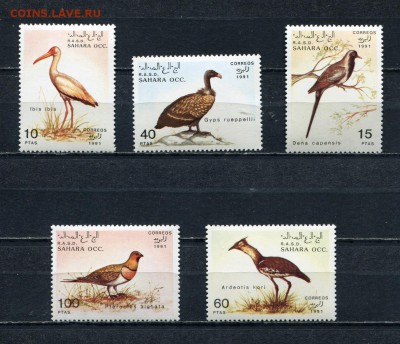 Сахара ОСС 1991 Птицы MNH - img007