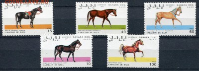 Сахара ОСС 1993 Лошади MNH - img005