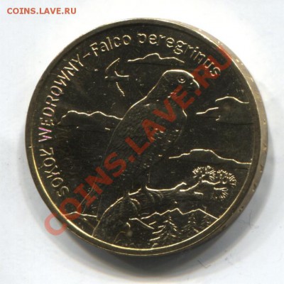 ПОЛЬША 2 ЗЛОТЫХ 2008 СОКОЛ ДО 17.01.11 В 22.00 МСК - Poland-falcon