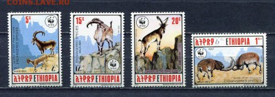 Эфиопия 1990 Горные козлы MNH - img976