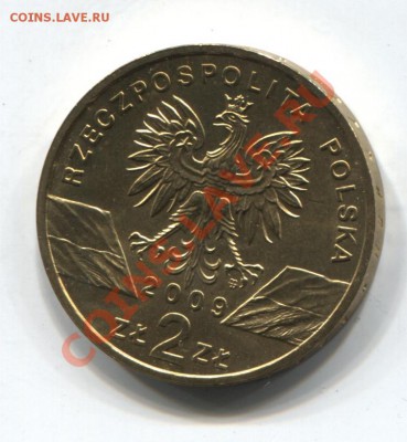 ПОЛЬША 2 ЗЛОТЫХ 2009 ЯЩЕРИЦА ДО 17.01.11 В 22.00 МСК - Poland-lizard 001
