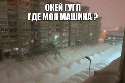 веселые картинки - гугл