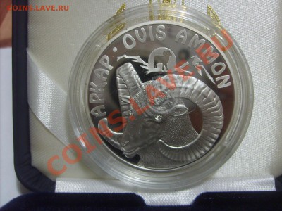 01 - S5001171.JPG